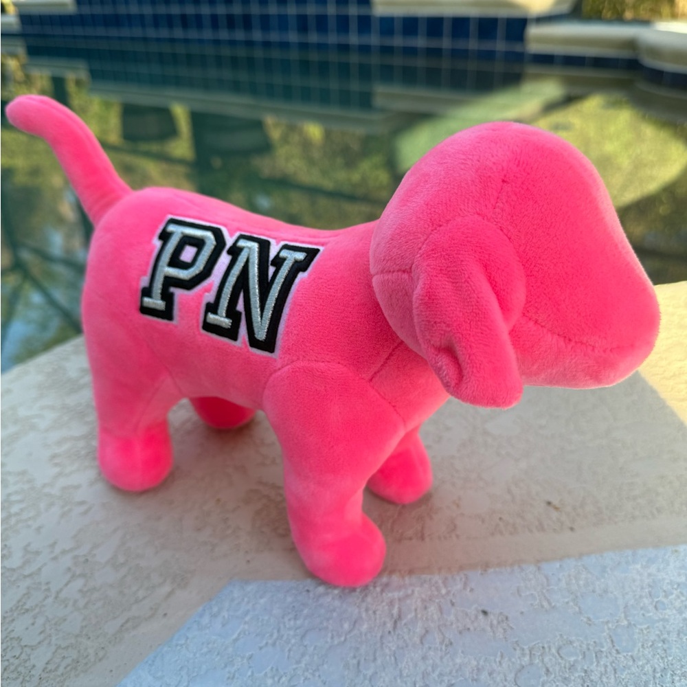 Large VS Pink Dog 🤍